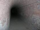 photo6_small.jpg