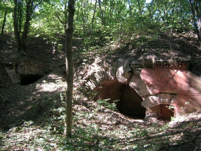 photo7.jpg