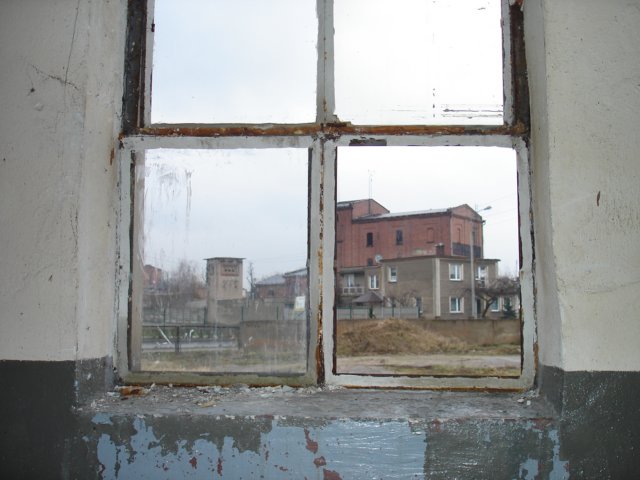 photo10.jpg