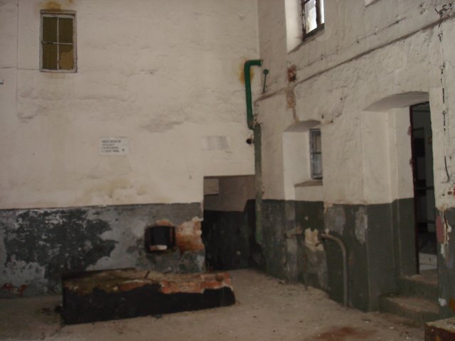 photo5.jpg