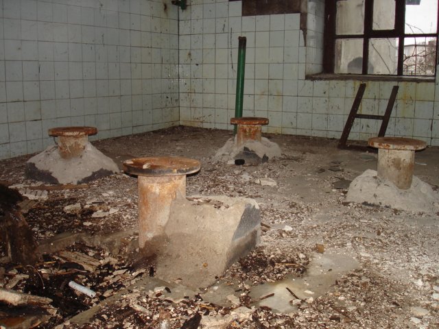 photo8.jpg