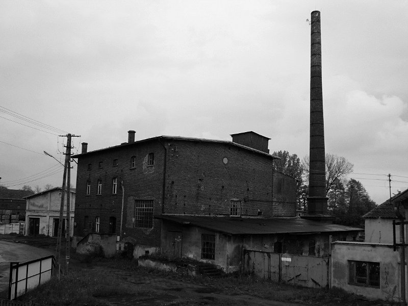photo.jpg