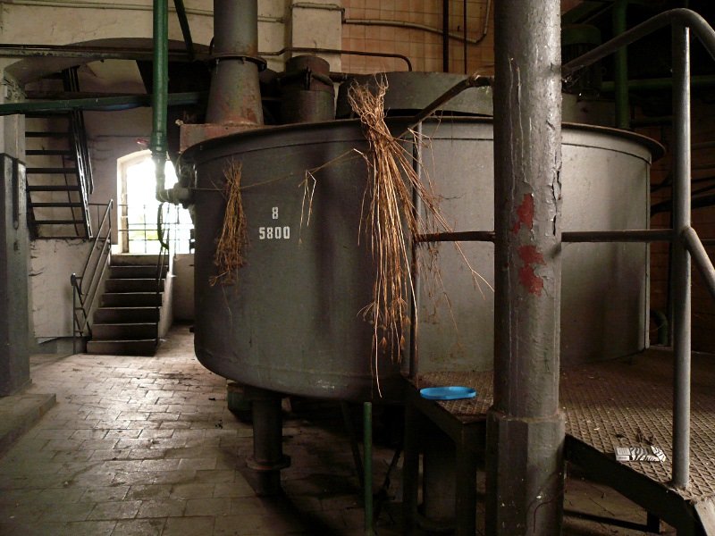 photo2.jpg