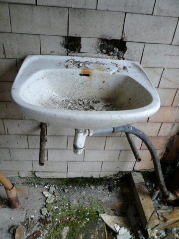 photo7.jpg