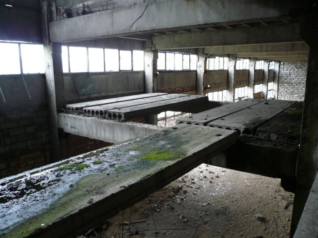 photo19.jpg