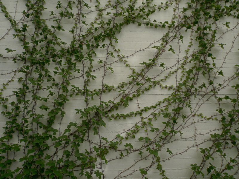 photo5.jpg