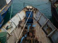 photo4_small.jpg