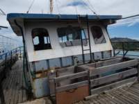 photo7_small.jpg