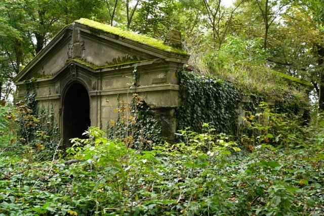 photo.jpg