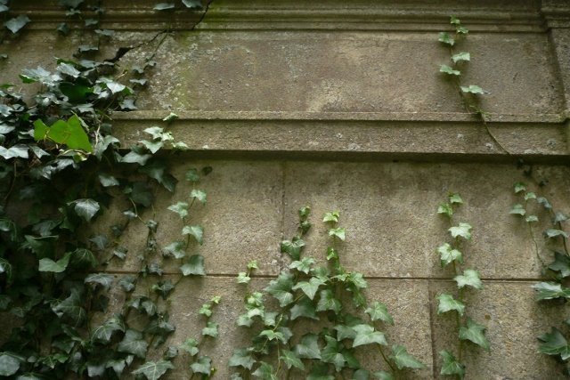 photo2.jpg