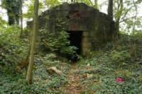 photo3_small.jpg