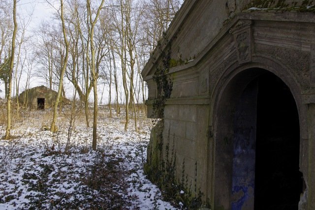 photo9.jpg