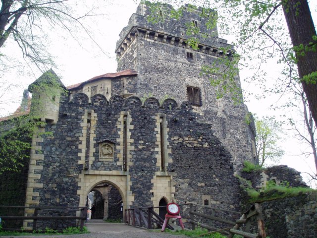 photo.jpg