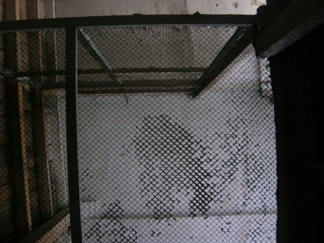 photo31.jpg