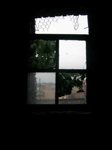 photo33.jpg