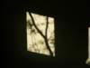 photo10_small.jpg