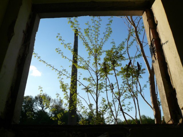 photo2.jpg