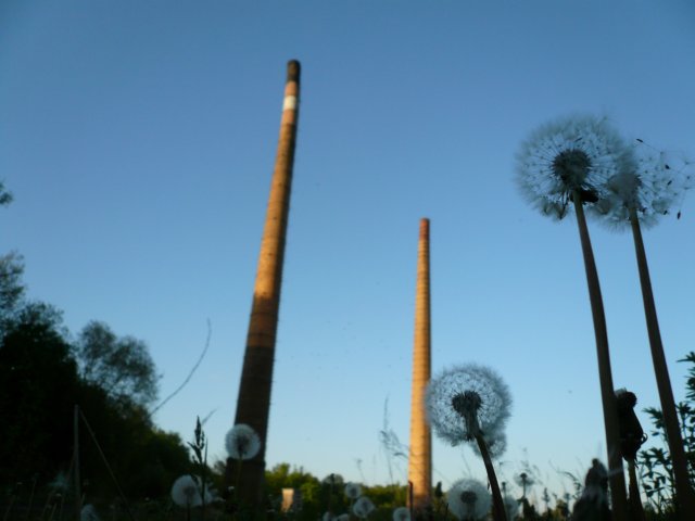 photo5.jpg