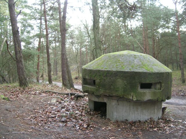 photo.jpg