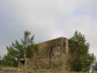 photo12_small.jpg