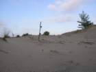 photo13_small.jpg