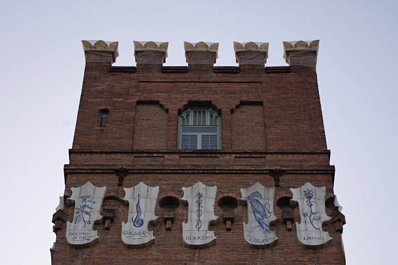 photo6.jpg