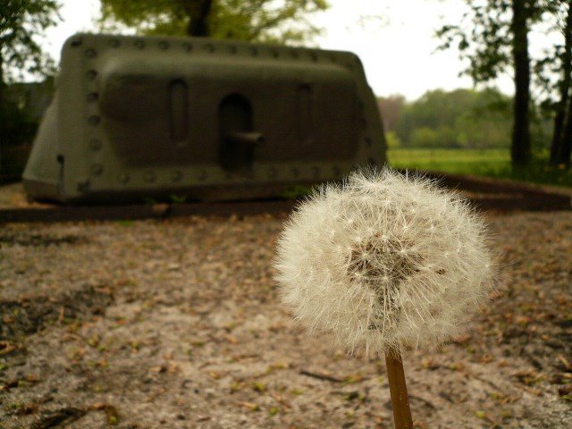 photo7.jpg
