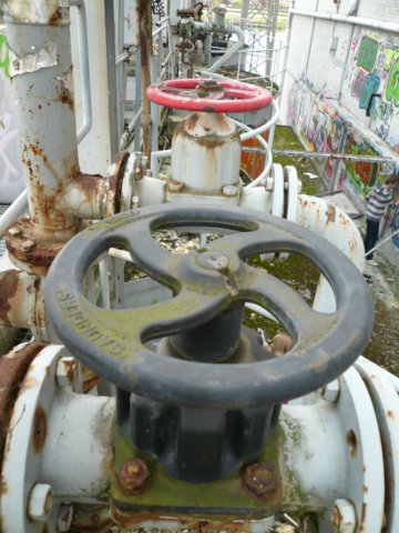 photo15.jpg