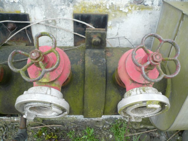 photo3.jpg