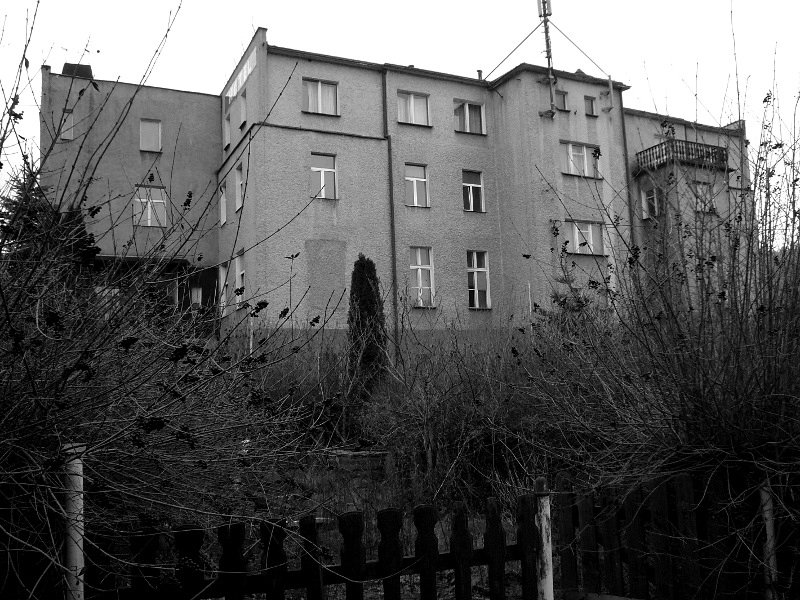photo.jpg