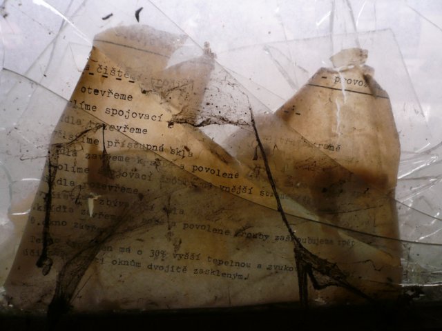 photo6.jpg
