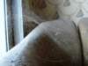photo23_small.jpg