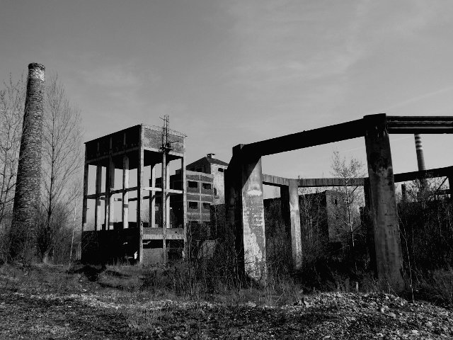 photo.jpg