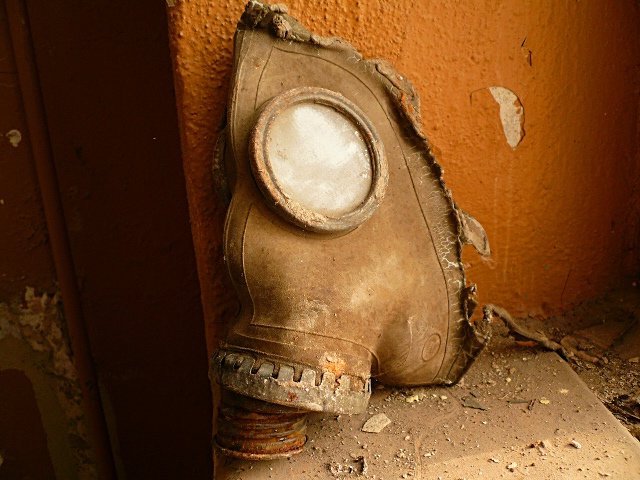 photo8.jpg