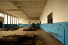 photo5_small.jpg