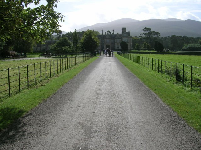 photo.jpg