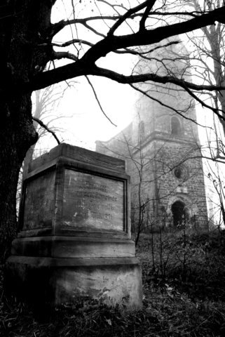 photo8.jpg