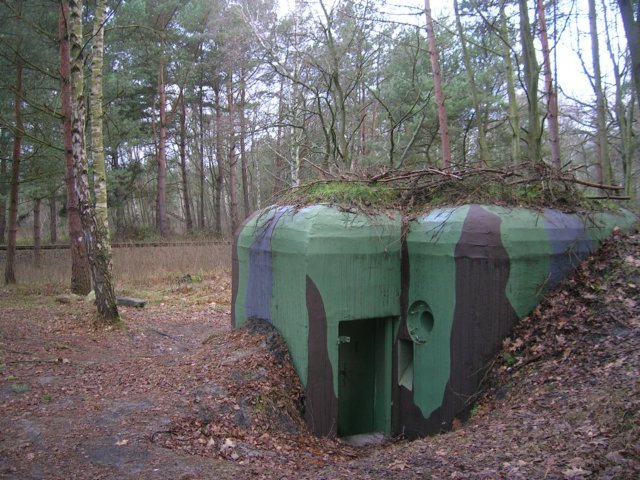 photo4.jpg