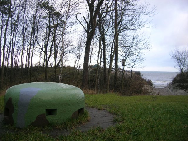 photo8.jpg