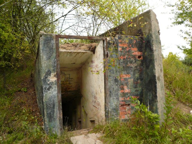 photo10.jpg