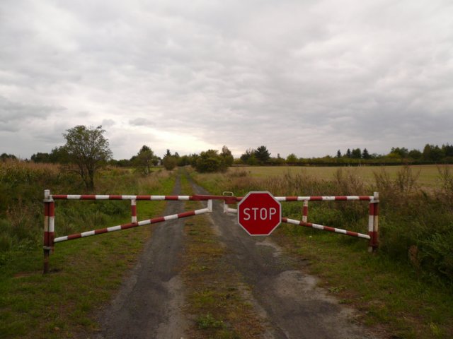 photo.jpg