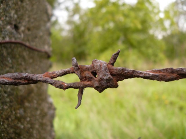 photo20.jpg