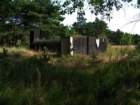 photo2_small.jpg