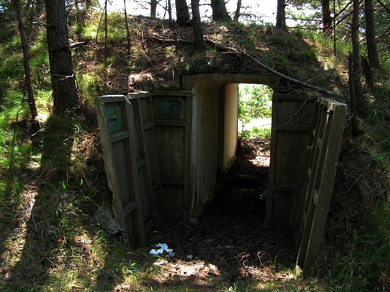 photo6.jpg