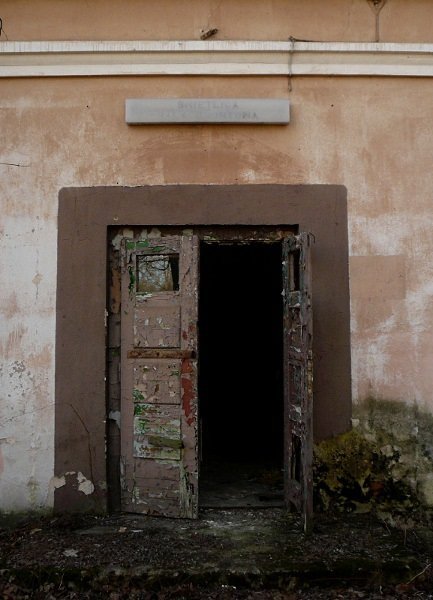 photo2.jpg
