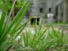 photo2_small.jpg