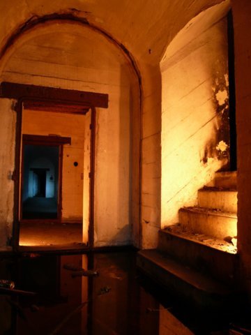 photo9.jpg