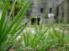 photo10_small.jpg