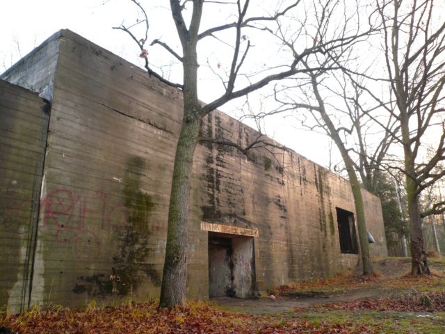 photo16.jpg