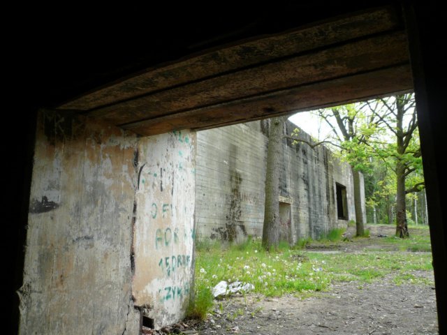 photo8.jpg
